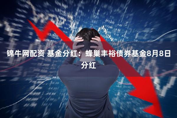 锦牛网配资 基金分红：蜂巢丰裕债券基金8月8日分红